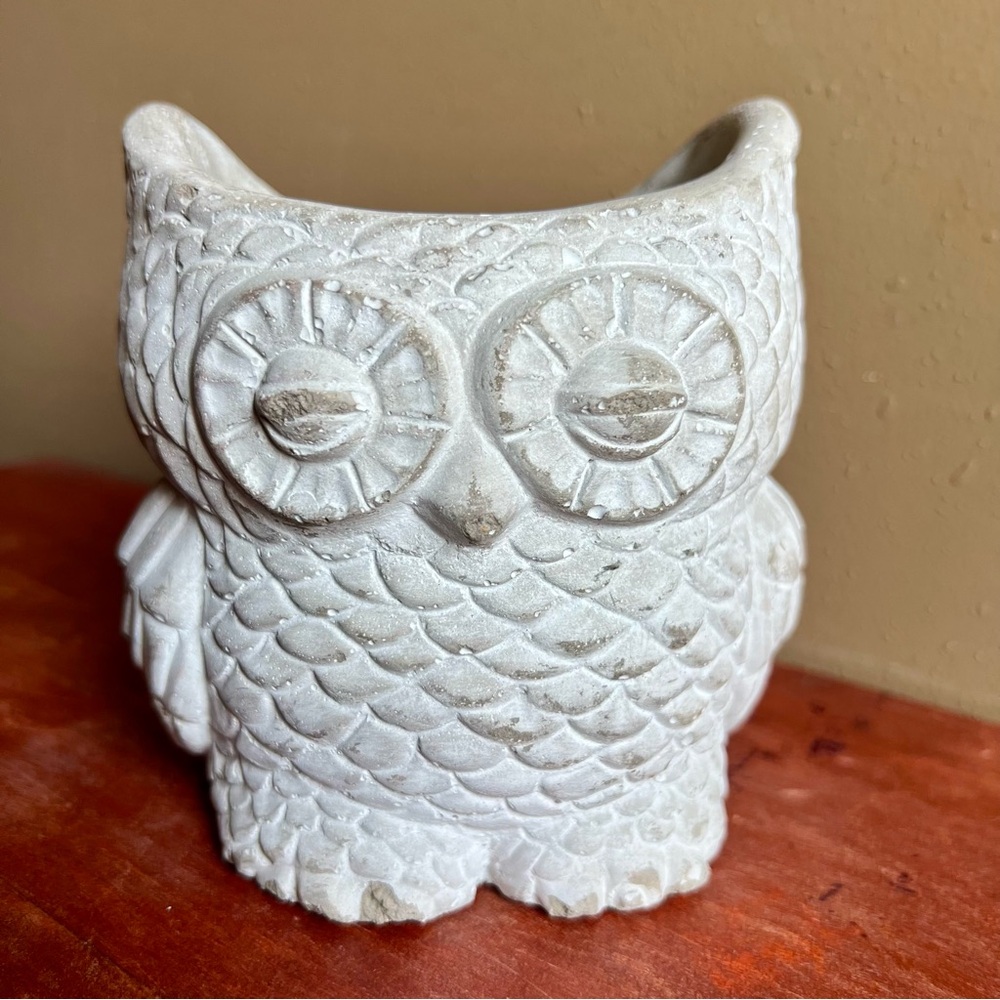 Cement Owl Planter Rustic Farmhouse Cottagecore Primitive Home Decor Cute Cozy